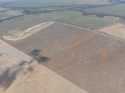 DJI_0123.jpg